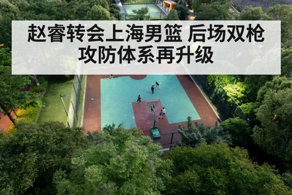 Chinese basketball player